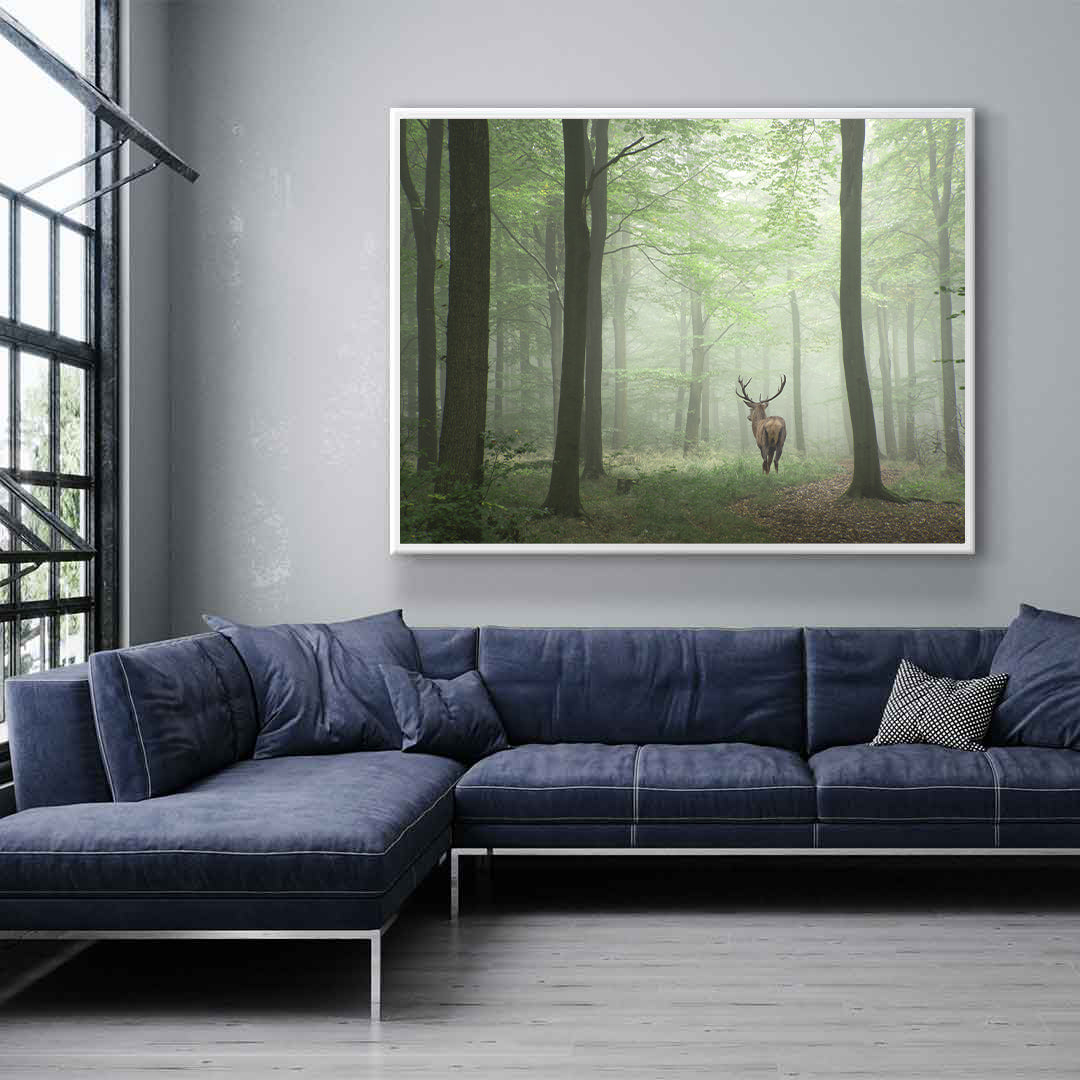 Leinwandbild - Hirsch im Wald