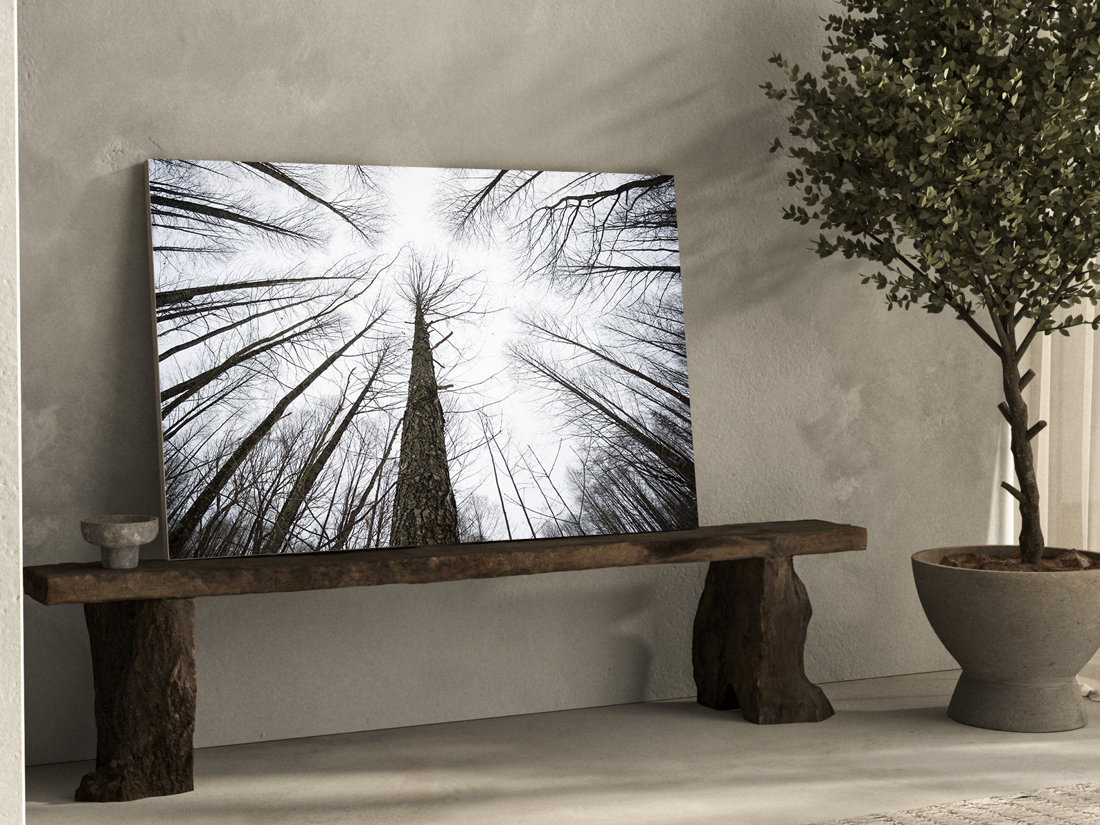 Peinture sur toile - Branches d'arbres