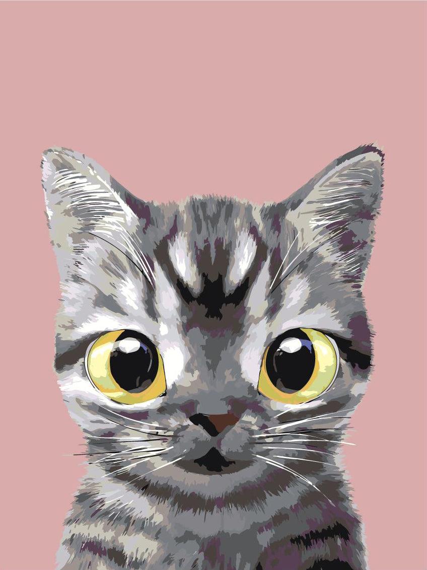 03384df168cf81efef671d666bc8b0d6