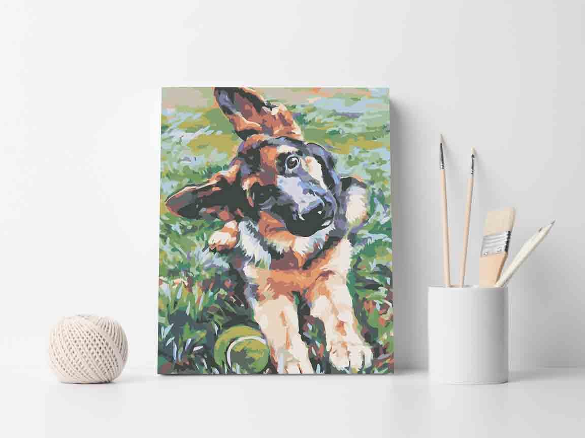 cc2bc184df368104f198acfb8811057e