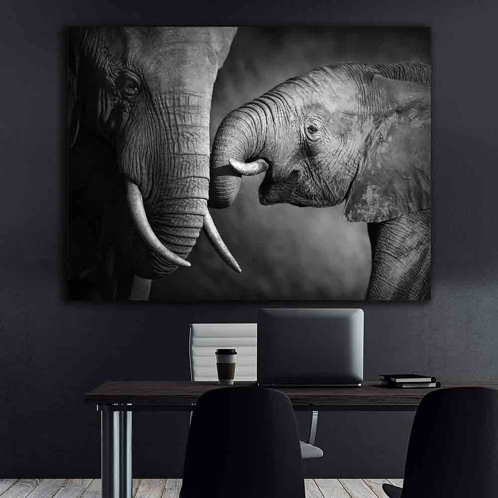 Leinwandgemälde - Schwarze und weiße Elefanten