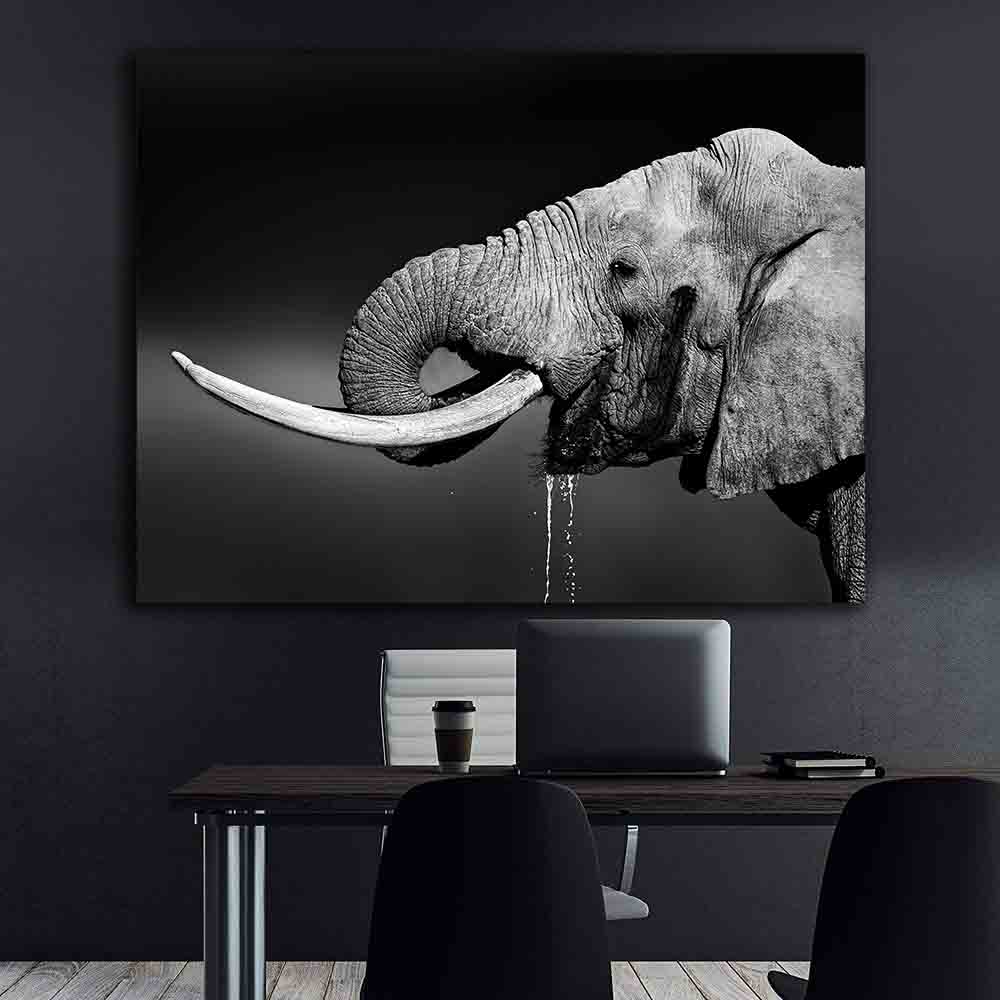 Leinwandbild - Elefantenporträt