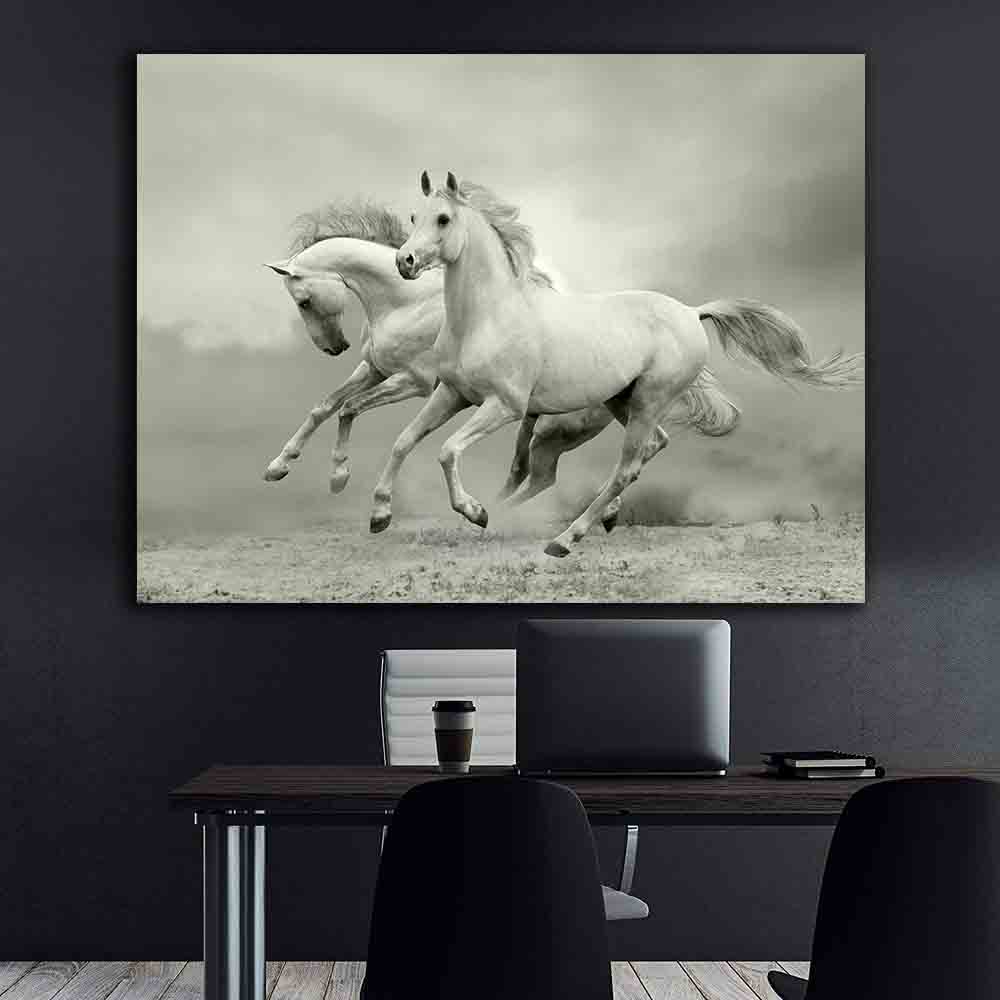 Leinwandbild - Weiße Pferde