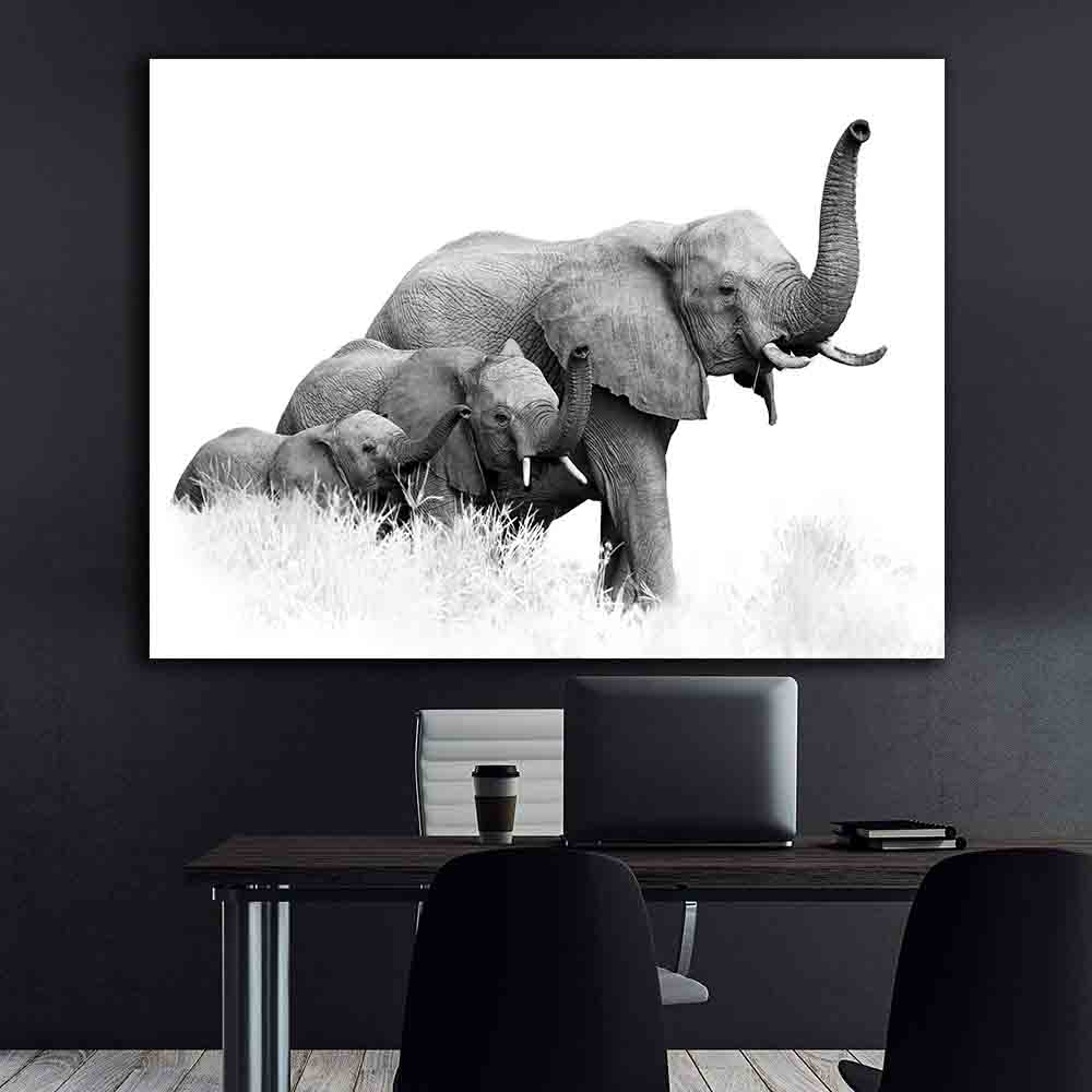 Leinwandbild - Drei Elefanten