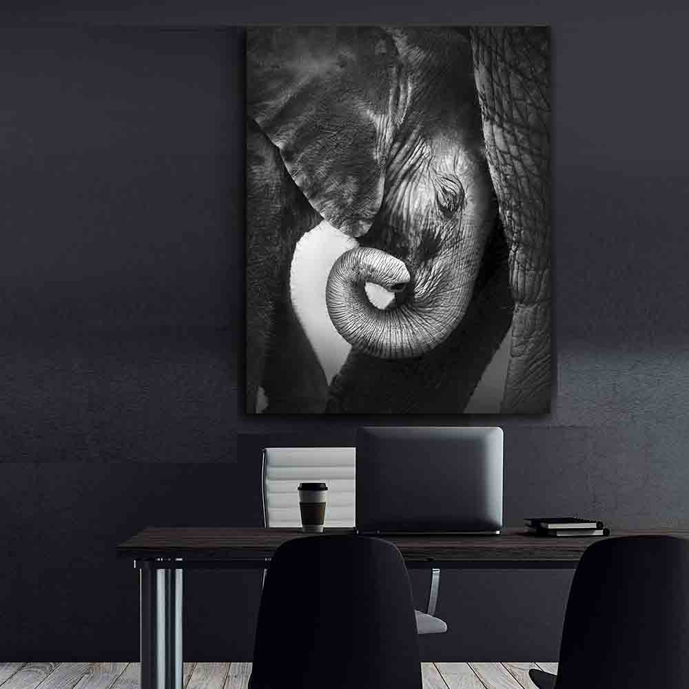Leinwandgemälde - Kleiner schwarz-weißer Elefant