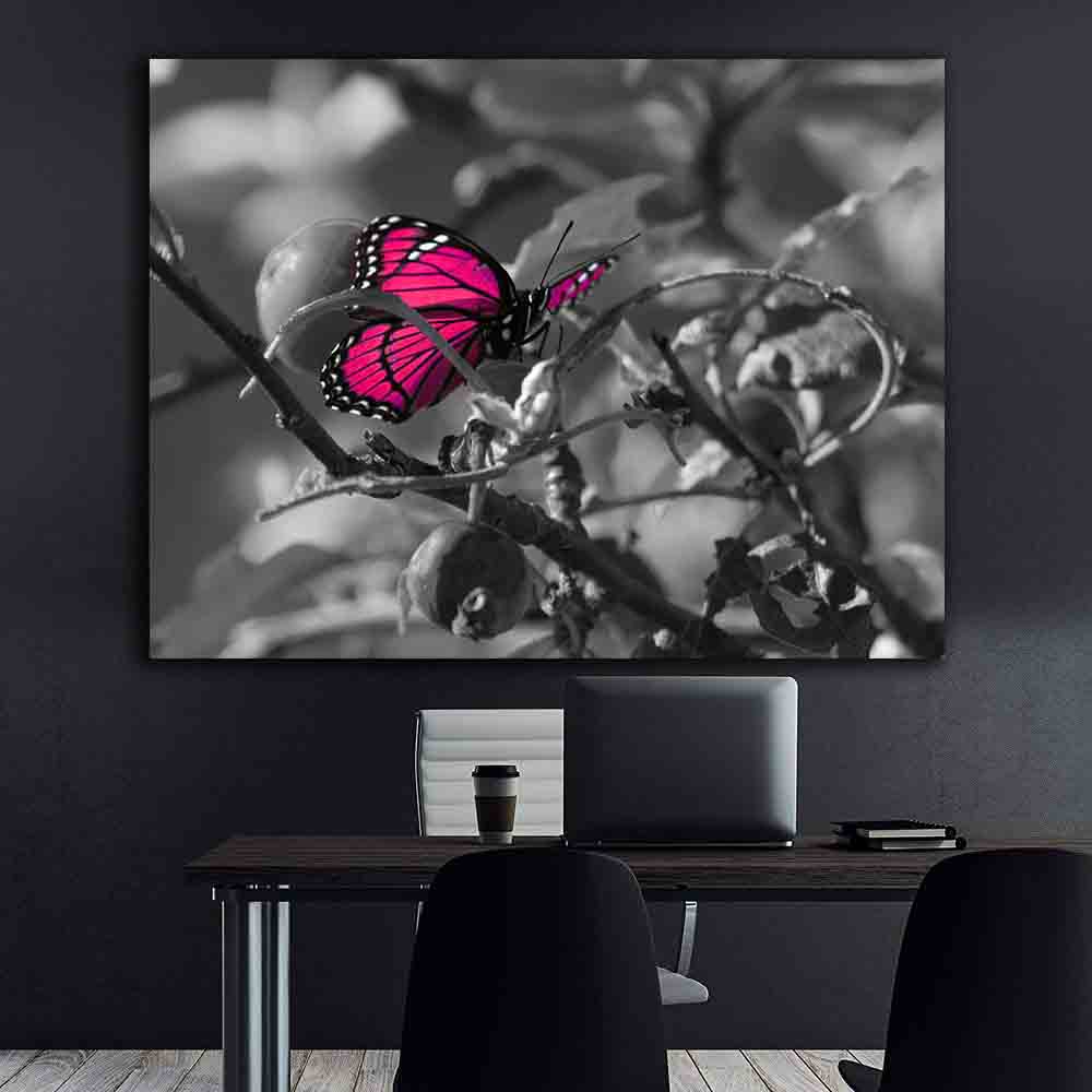 Tablou Canvas - Fluturele roz