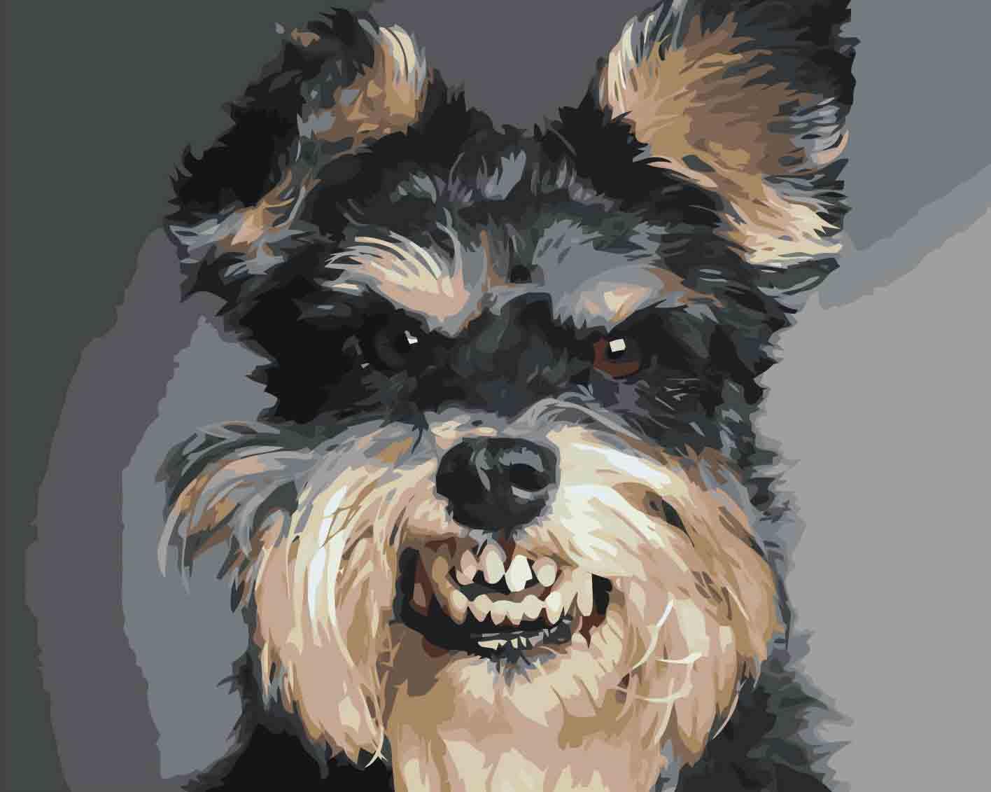 b4d24b953a8f74c919cae20a86a0c7f6