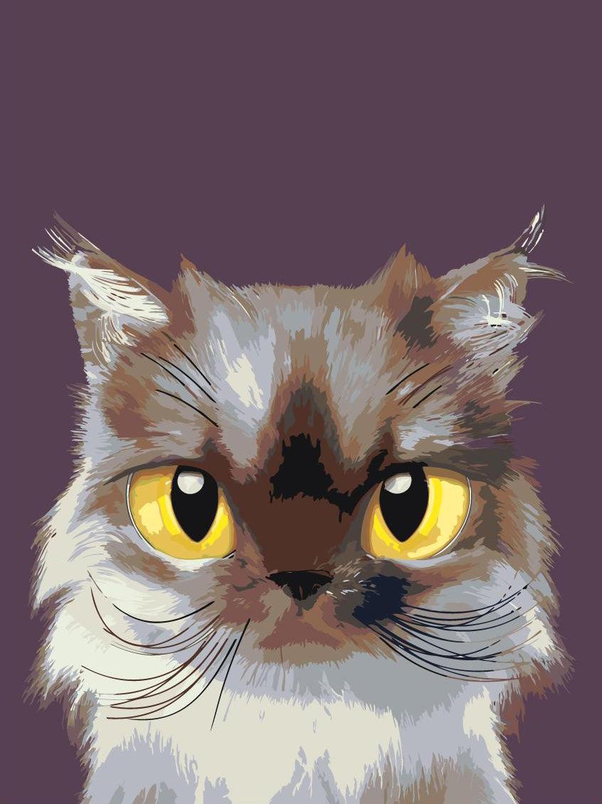 6df7858de0197a65c6078ca1fd37fec3