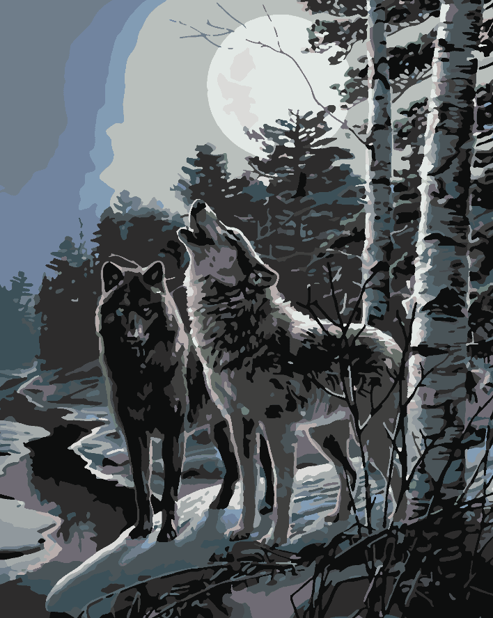 9018b56106ed087d4ee55c1fa8896711