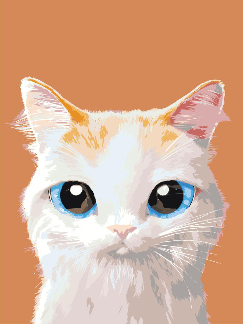 a19ca75571a3491fc80ee332b9785470