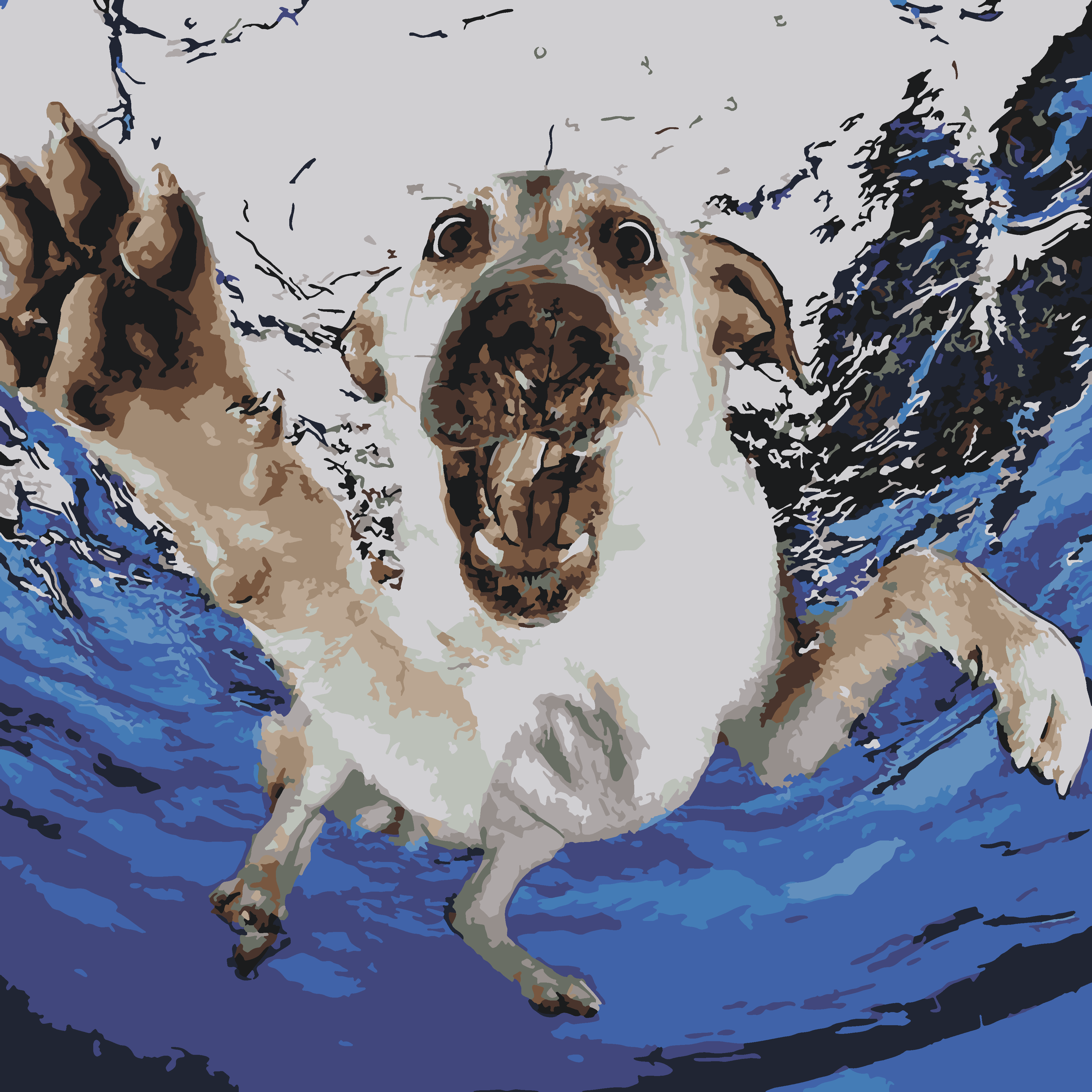 6eec42a35a0a574f2d16502b5427997b