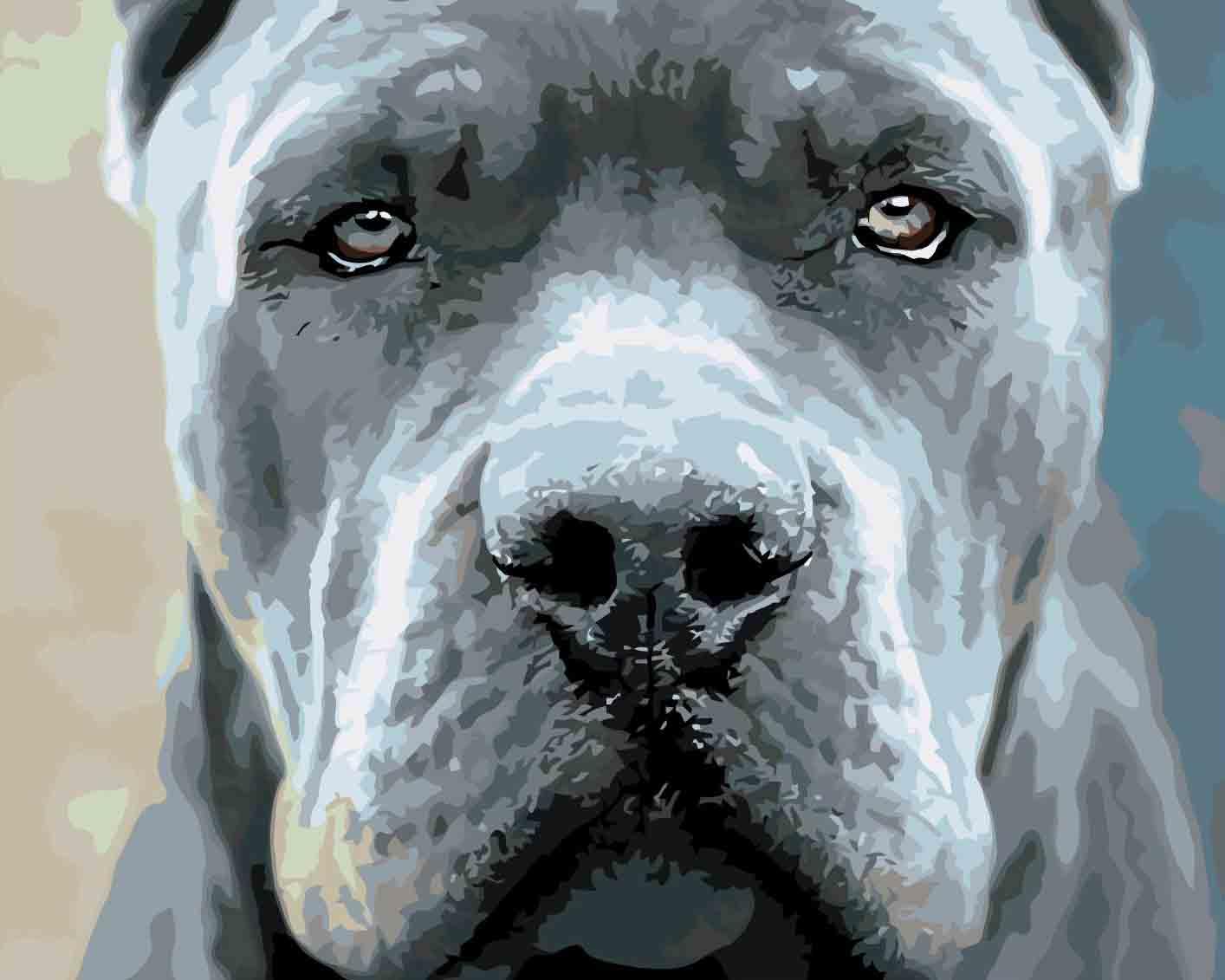 47b2f06cc76452fa2bc365985c993c63