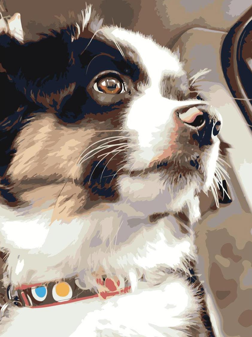 3e7848fb14f9a9c4bf83d529c17d597f