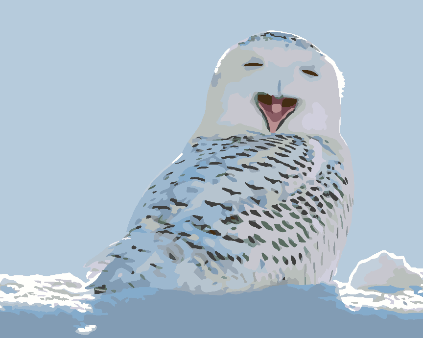 74de68b1de7fd26ba613d2b03a899b58