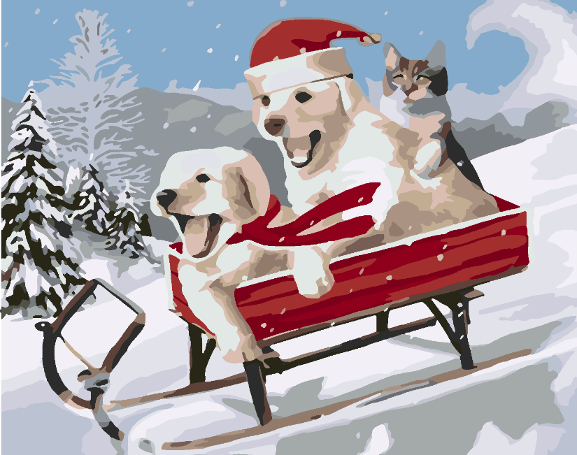 767d04b7e93f280b33ee7202f3fbe7c9