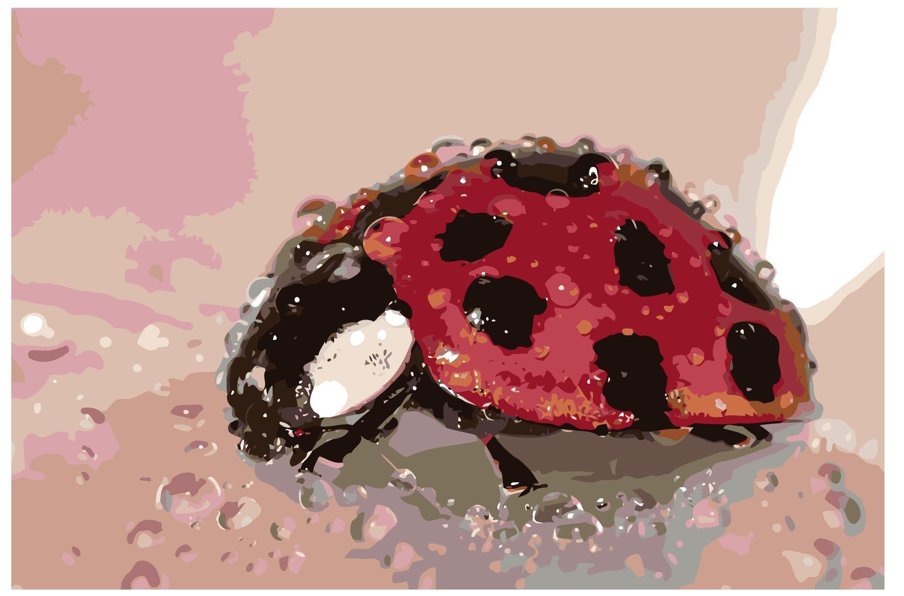 071b155e2db76f3db9c705dcf3c72d63