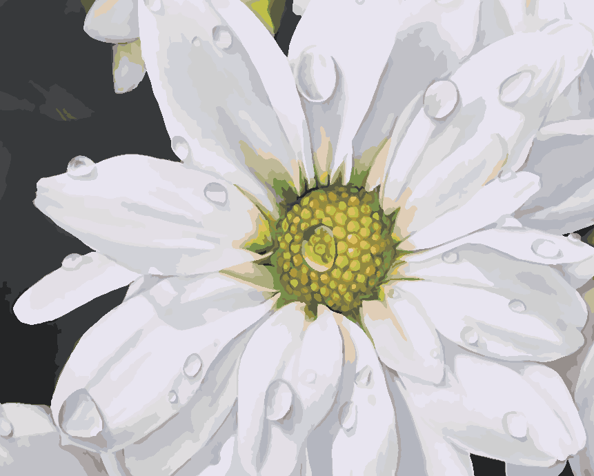 7dcef0dad1f222724e5b9a8dcf90d937