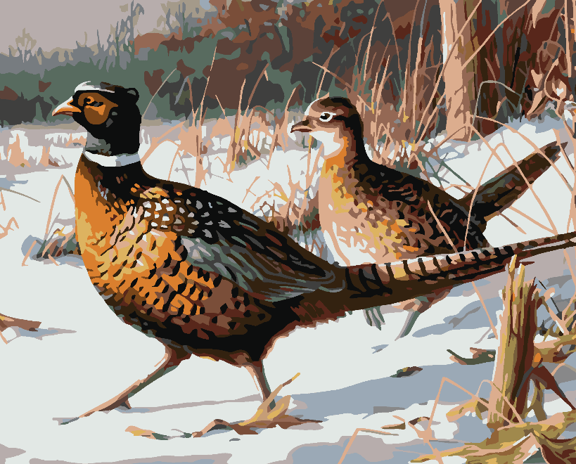 043f3171cf0c19b20b99a672cc538116