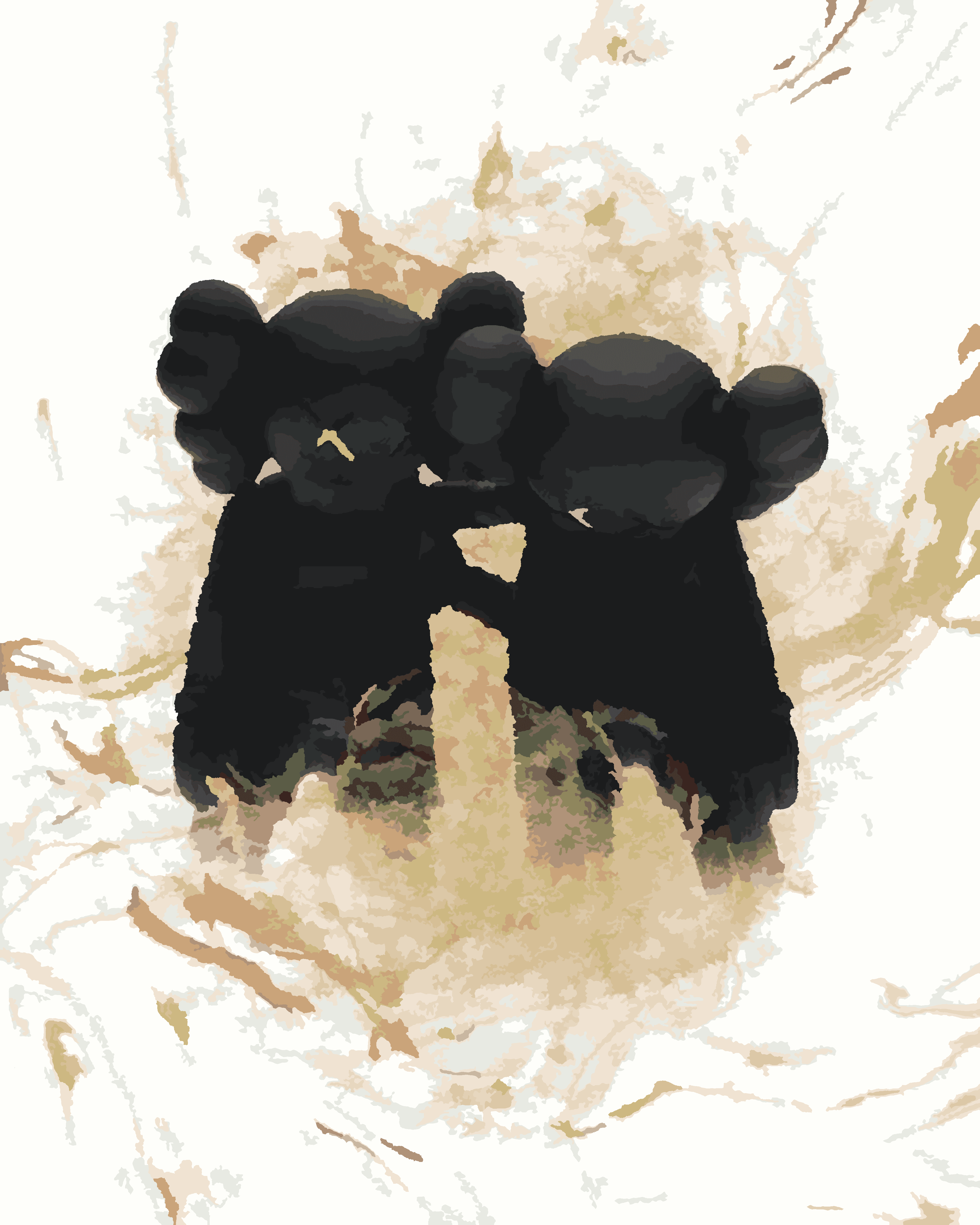 a4653cbb26650fa0bcdb0e27bab8d4e0