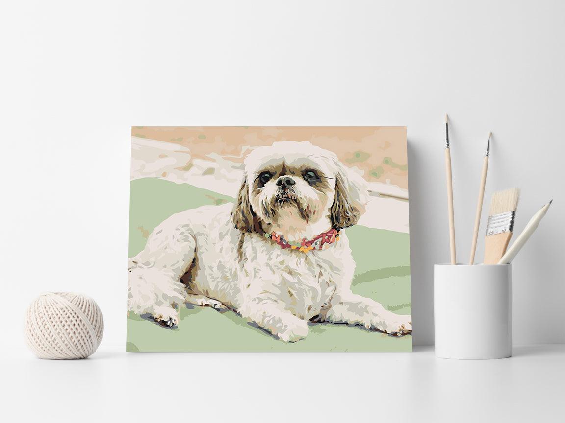 056f9a5cc313c1e666f045319dffb7d3