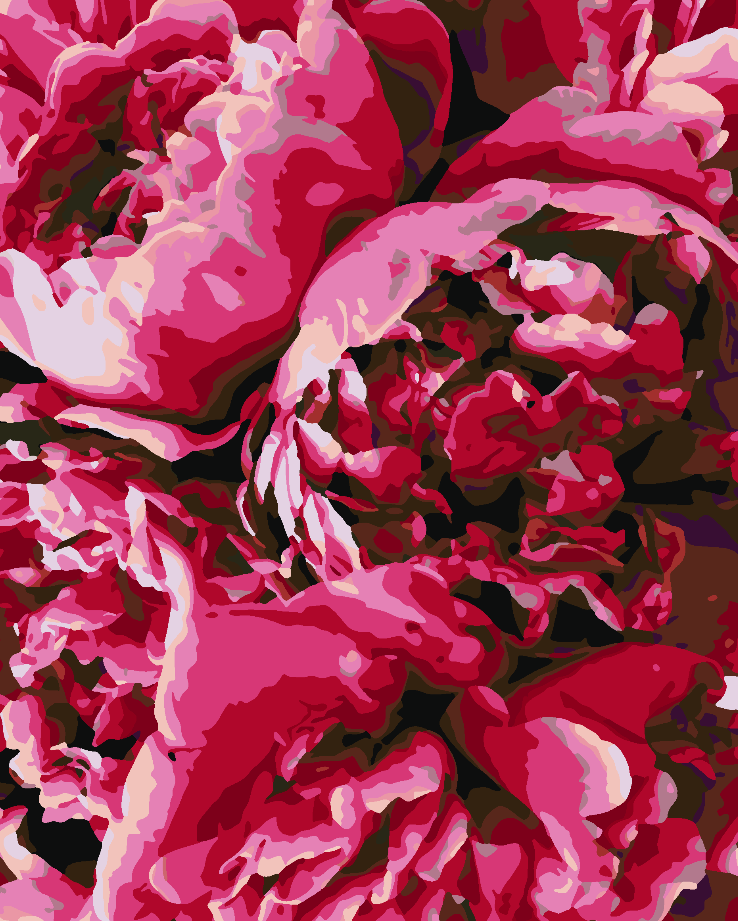 Malen nach Zahlen - Rosa Pfingstrosen 4405